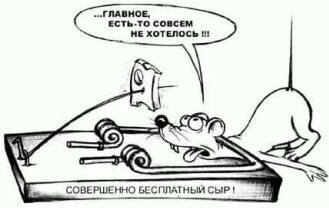 Бесплатный сыр
